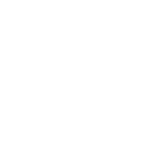 Flaeijel