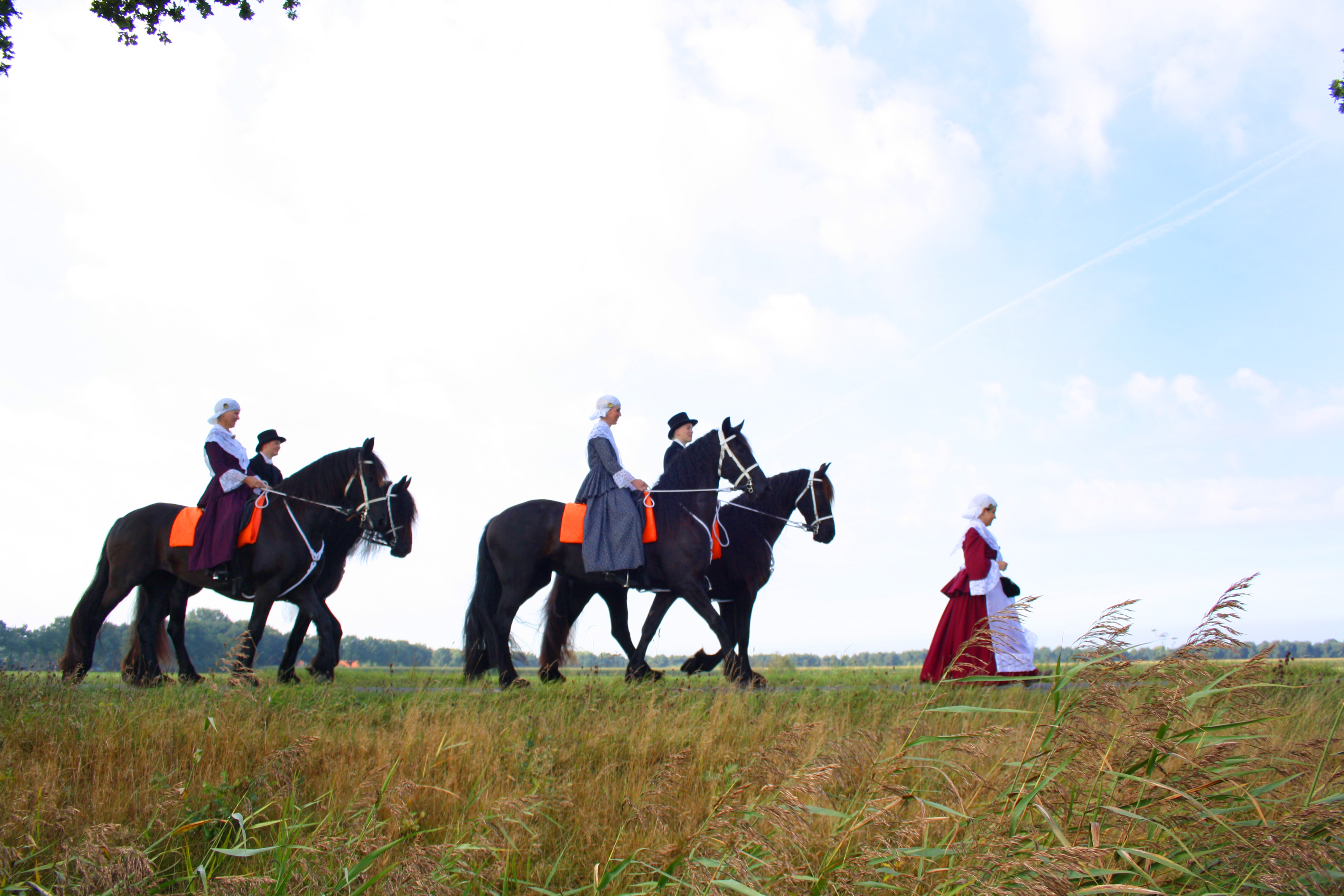 As Metalen lijn Uitgaven Paarden hebben een speciale rol. In de optocht, ringrijden en boerenwerk