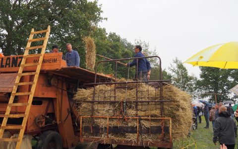 burgemeester zwan dorskast