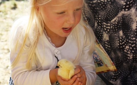kinderboerderij